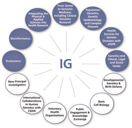 Priority & Planning Committees and Working Group of the IG