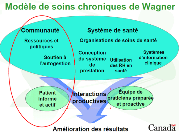 Graphique : Modèle de soins chroniques de Wagner